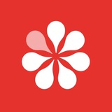 ДонорUA Logo