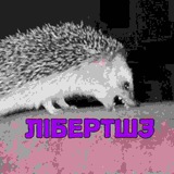 Лібетшз 🇵🇸🏴🏴☠🏳⚧↙️ Logo