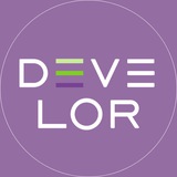 DEVELOR UKRAINE Logo