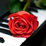 днепровский пианист🎹 Logo