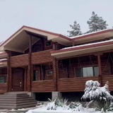 🌲Шишкин Дом🌲 Logo