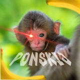 Гифки с обезьянками 🦧 Logo