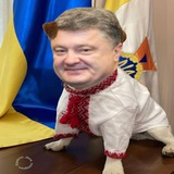 Паблік з відосами 🇺🇦 #УкрТґ Logo