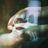 Мимо и в точку Logo