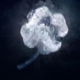 crypto clover Logo