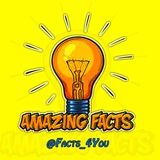 Amazing Facts 💡4U Logo
