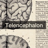 Telencephalon Logo