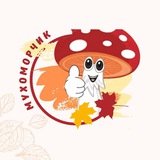 Мухоморчик • Канал Logo