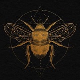 PETRENKO ✙ Logo