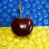 Хуйовый Мелитополь Logo