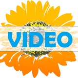 ВІСНИК: ВІДЕО & ПОДАТКИ Logo