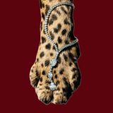 FOREVERMORE LUXE Logo