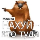 Прогнози від Бабака Logo