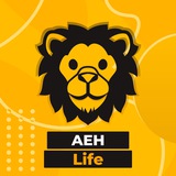VIZJA Life Logo