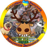 Підслухано Васильків Logo