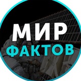 Мир Фактов 💡 Logo