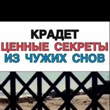 ДНР: почти официально Logo