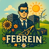 FeBrein Logo