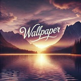 🎆wallpaper Logo