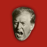 Гамбіт Трампа Logo