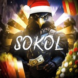 Sokol 🦅v crypto🤑 Logo