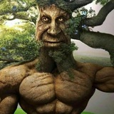 Gang of Wise Mystic Trees 🌳 | Gang of WMT 🌳 Logo