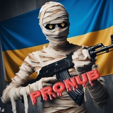 💎ProNub iNFO💎 Logo