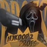 Prof_ Hjkoop2[160+] Logo