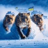 Балта⚡Шанс⚡🇺🇦 Logo
