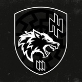 3 Штурмова Рота⚡️1 ШБ⚡️3ОШБр Logo