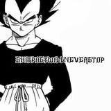 shitpostwillneverstop💯 Logo