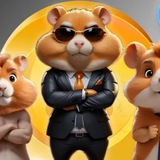 Hamster Kombat комбо карточек/лайфхаки Logo