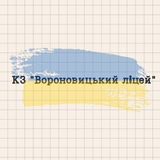 КЗ "Вороновицький ліцей"📚 Logo