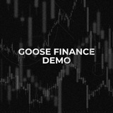 GOOSE FINANCE DEMO Logo