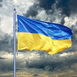 Допомога Волонтерським пунктам Відень Logo