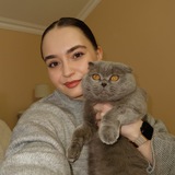 Svetik Browboss 💌 Logo