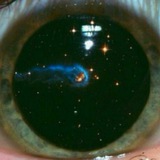 ЫъЁ засунь собі в очко🙂‍↔️ Logo