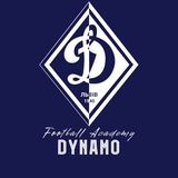 Академія ФК «Динамо» (Львів) Logo