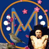 ZNOMax UKRAINE Logo