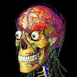 🤯 Вижити в Меді 👨⚕️💉 Logo