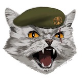 🐈⬛Шалений Кіт🐈 Logo