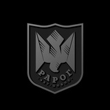 РАРОГ — 427 окрема бригада безпілотних систем Logo