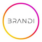 BRANDI Logo