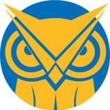 Дослідницько-аналітична група InfoLight.UA Logo