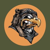 «LONG ISLAND» 43 ОМБр Logo