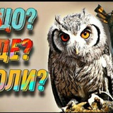 Що?Де?Коли?ЮА Logo