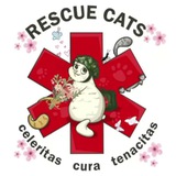 RESCUE CATS Logo