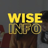 WISE INFO | НМТ - 2024 | Logo