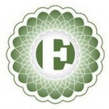 Economic Truth / Економічна правда / ePravda - epravda.com.ua Logo