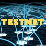Work TESTNET Logo